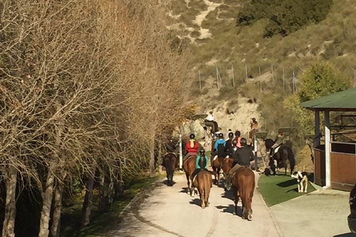 peinando caballo