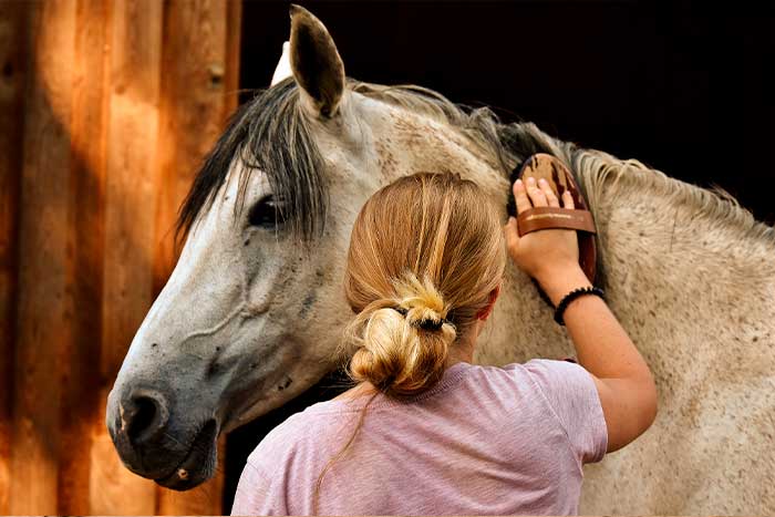 peinando caballo